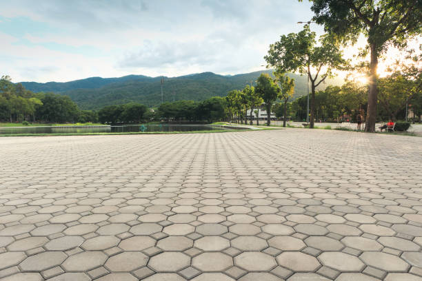 Professional Driveway Pavers in Glyndon, MN