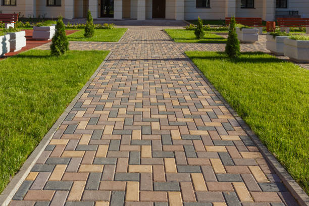 Best Decorative Driveway Pavers  in Glyndon, MN